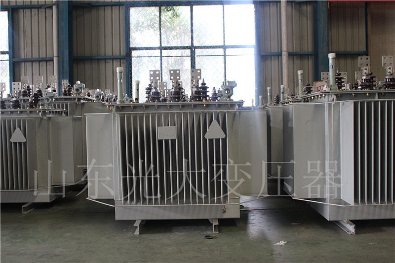 梨树S20-500KVA/10KV